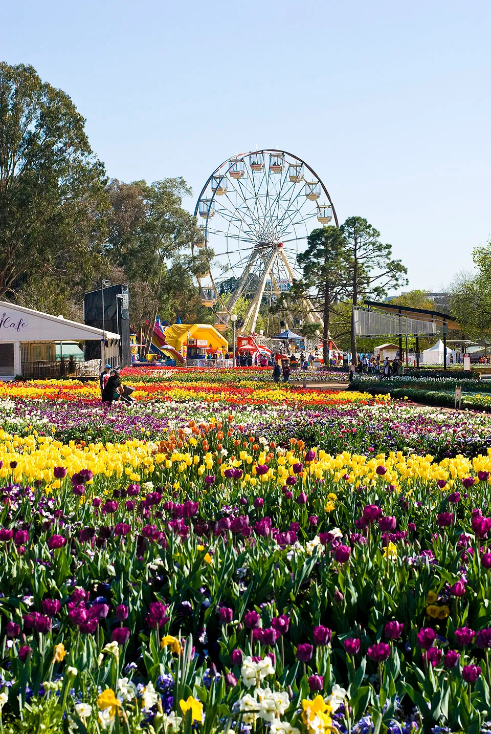 psFloriade01