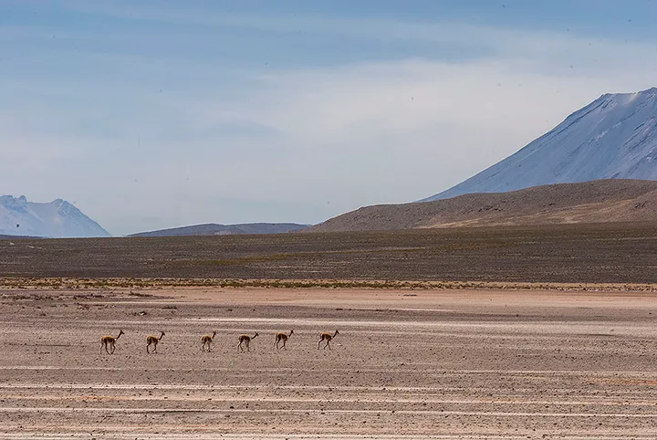 Colca Valley / Colca Canyon - Peru
