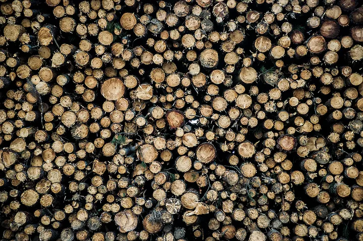 Wentworth Falls and Lithgow Glow Worm Tunnel