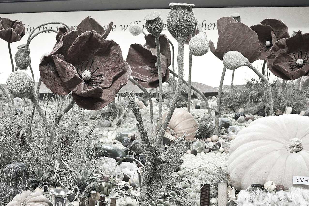 Royal Sydney Easter Show