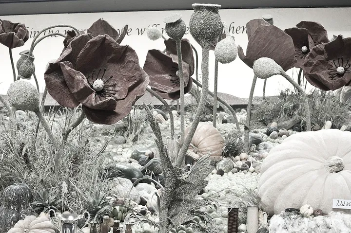 Royal Sydney Easter Show