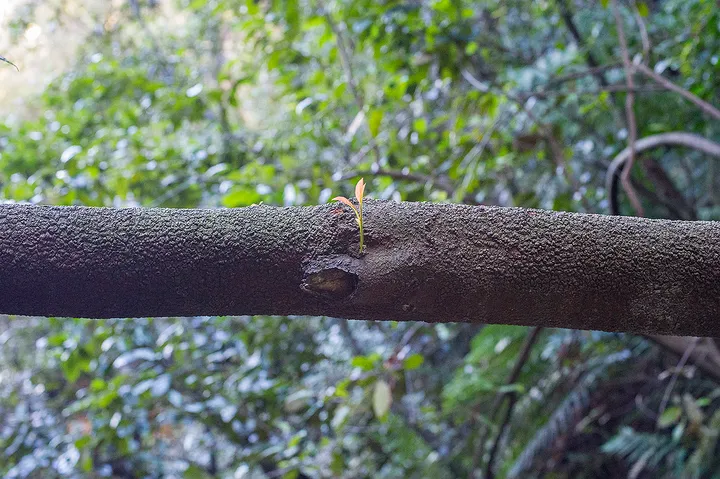 Catching up the last few months