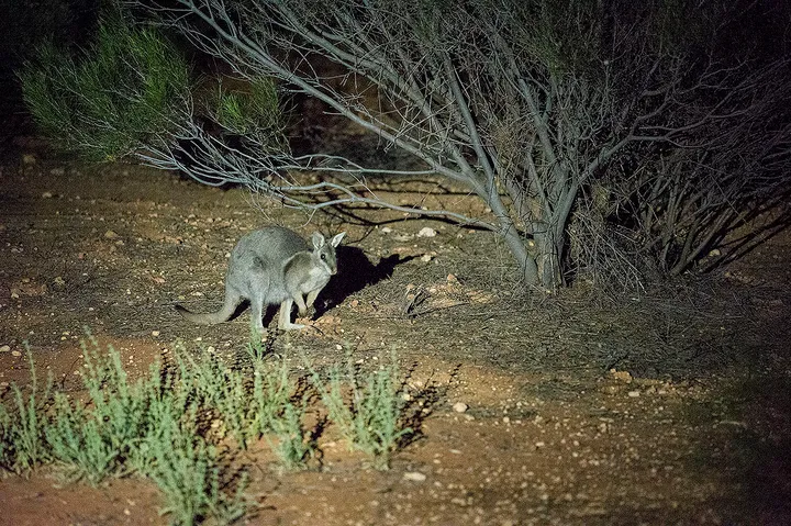 Scotia Part 4 - Digging holes