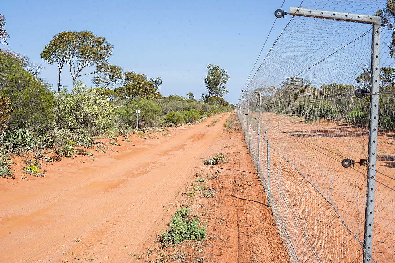Scotia Part 5 - Photo Focus and Journey to Broken Hill