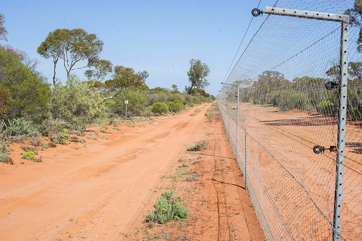 Scotia Part 5 - Photo Focus and Journey to Broken Hill
