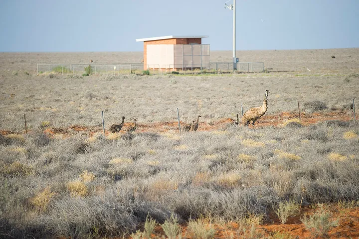 Scotia Part 6 - Broken Hill Home