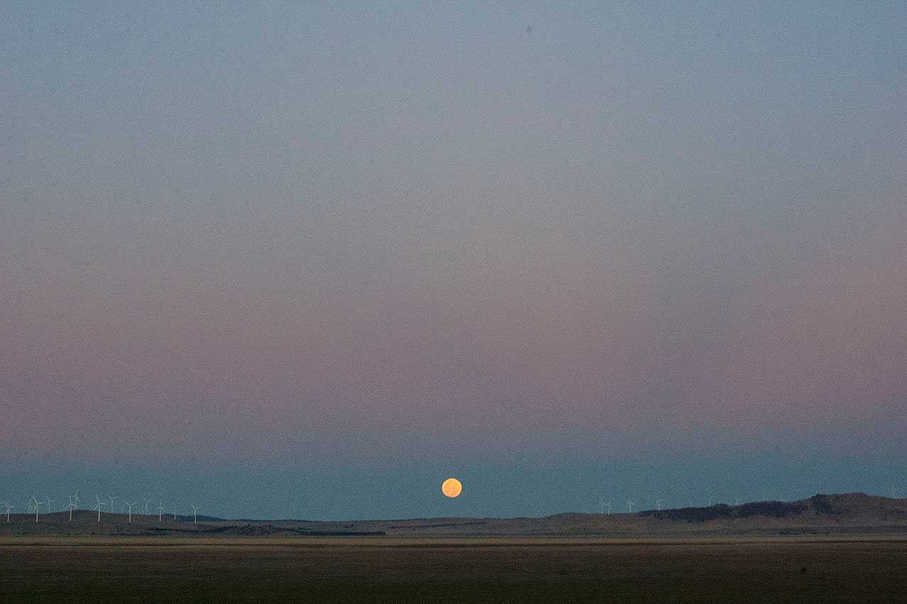 Sofar Sounds Sydney - July and Canberrang