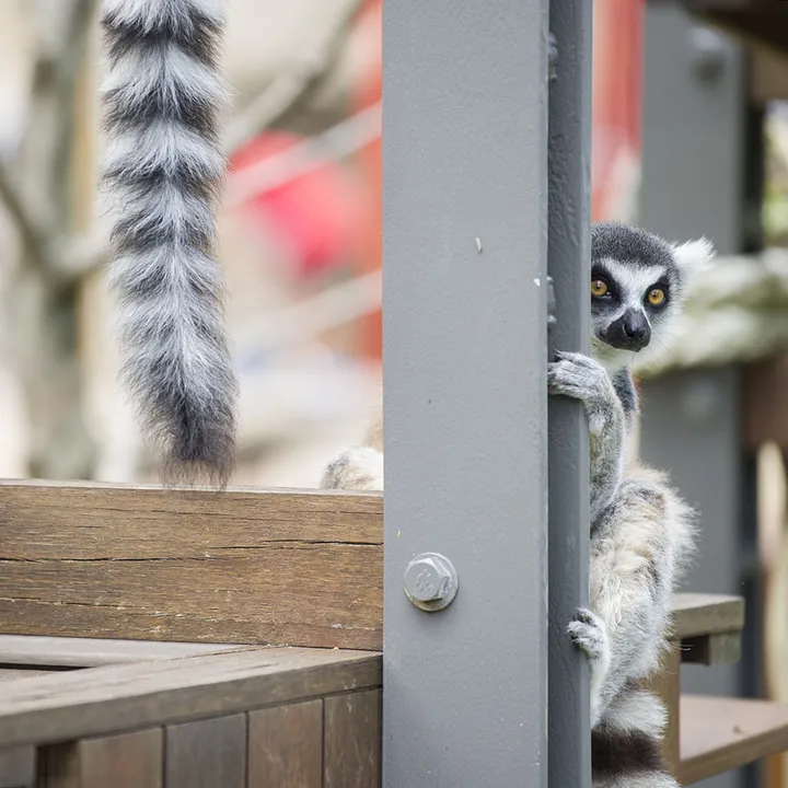 New job and lots of events